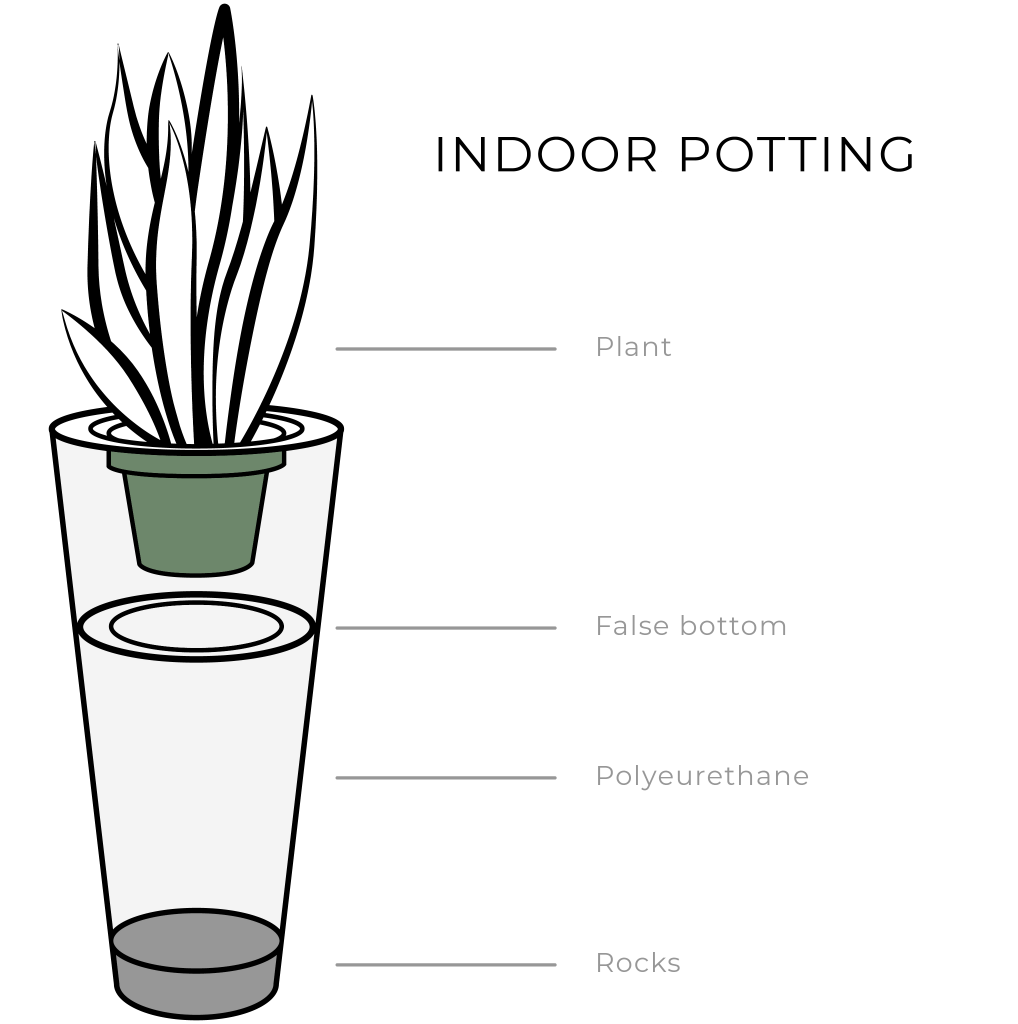 Indoor Potting