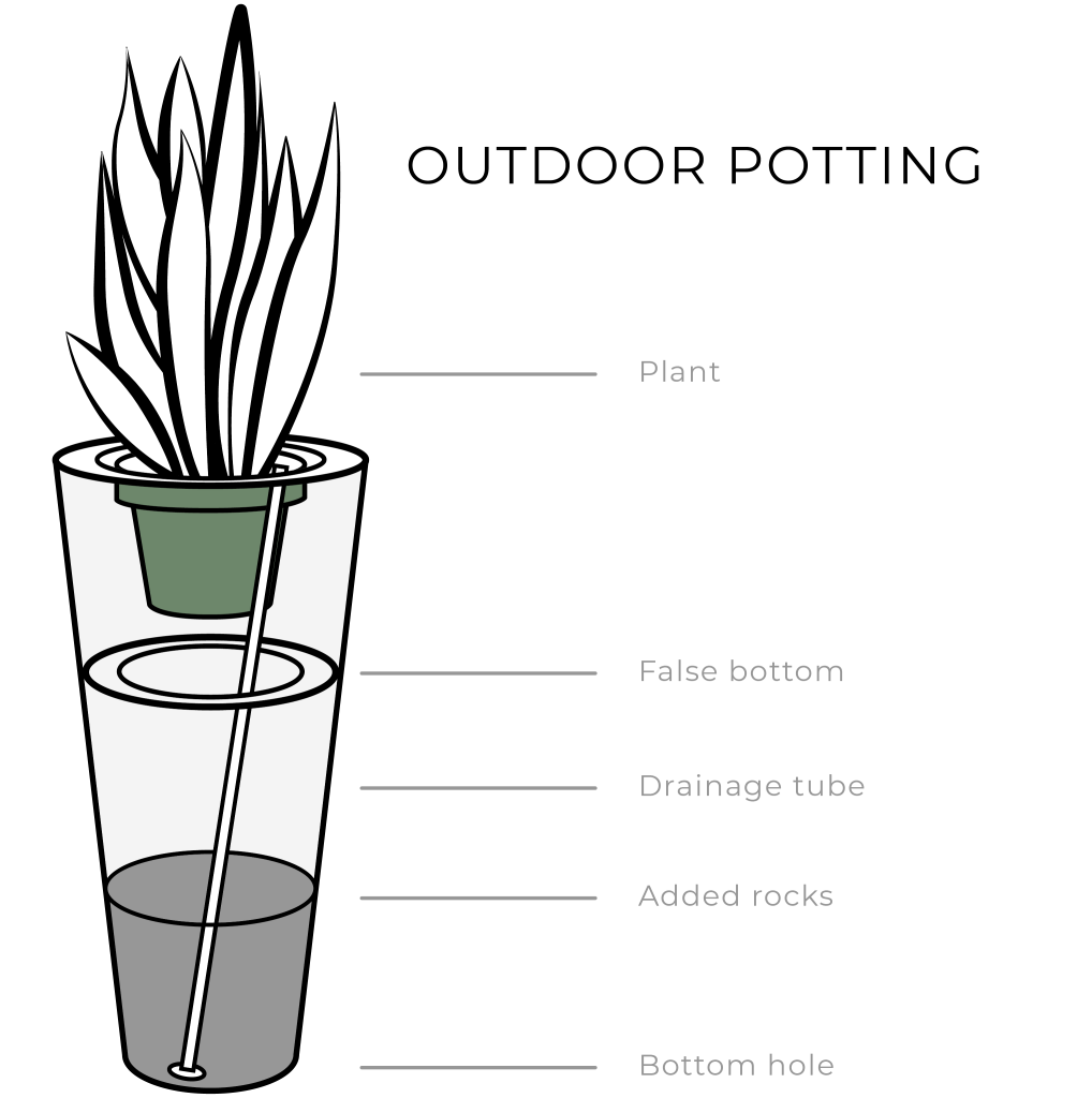 Outdoor Potting